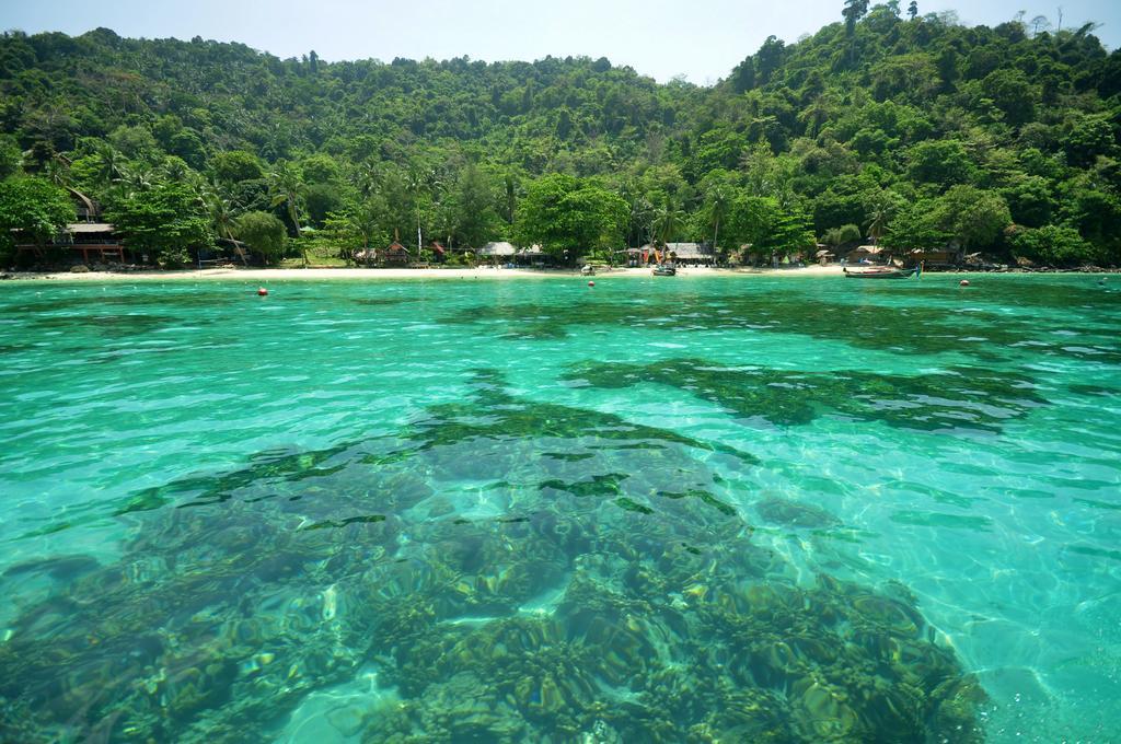 Rantee View Bungalow เกาะพีพี ภายนอก รูปภาพ